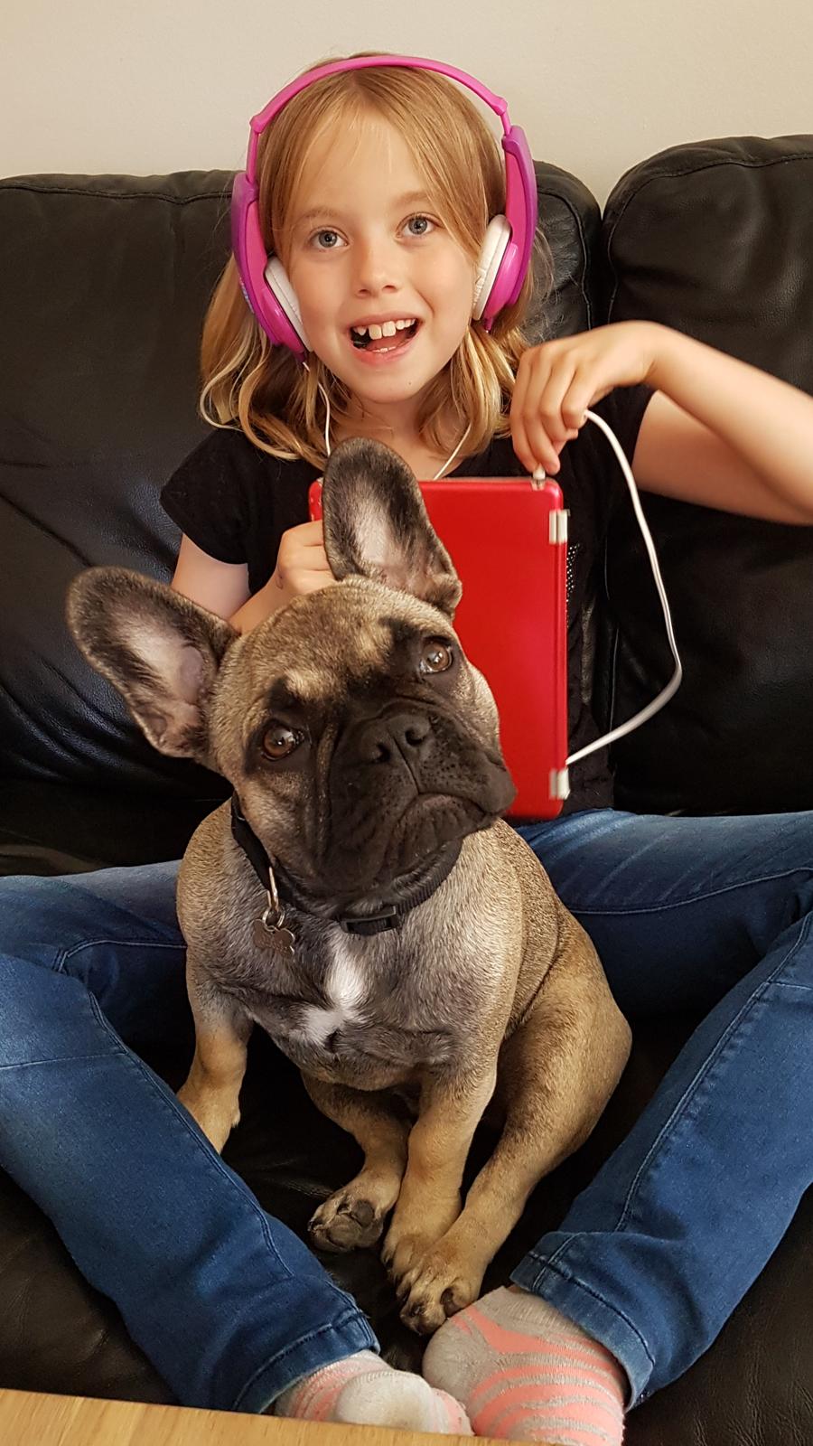 Fransk bulldog Charlie billede 17