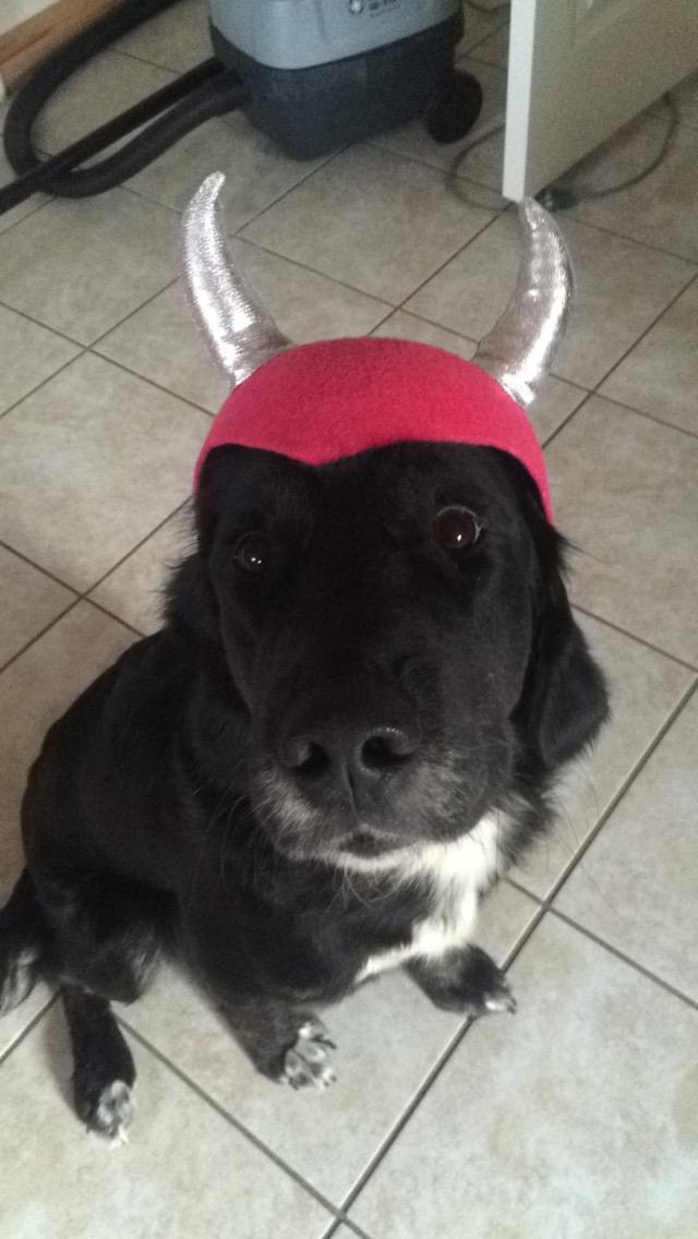 Blanding af racer Ally billede 16