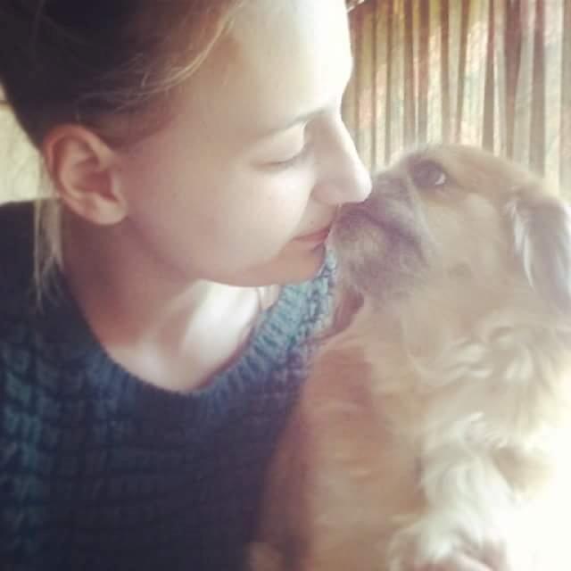 Tibetansk spaniel / Pekingeser - Kelly billede 12