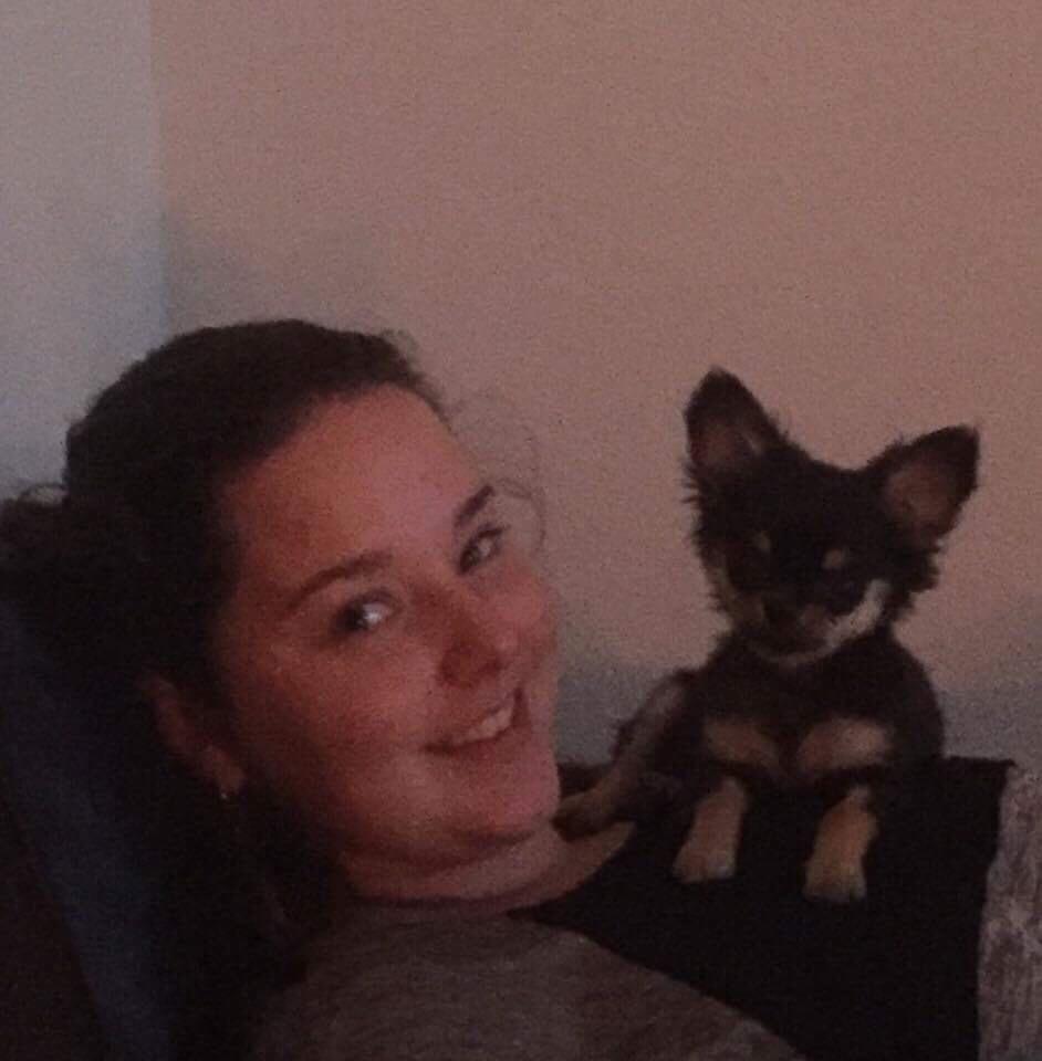 Chihuahua New Star Nova Be My Dream "Nova" billede 13