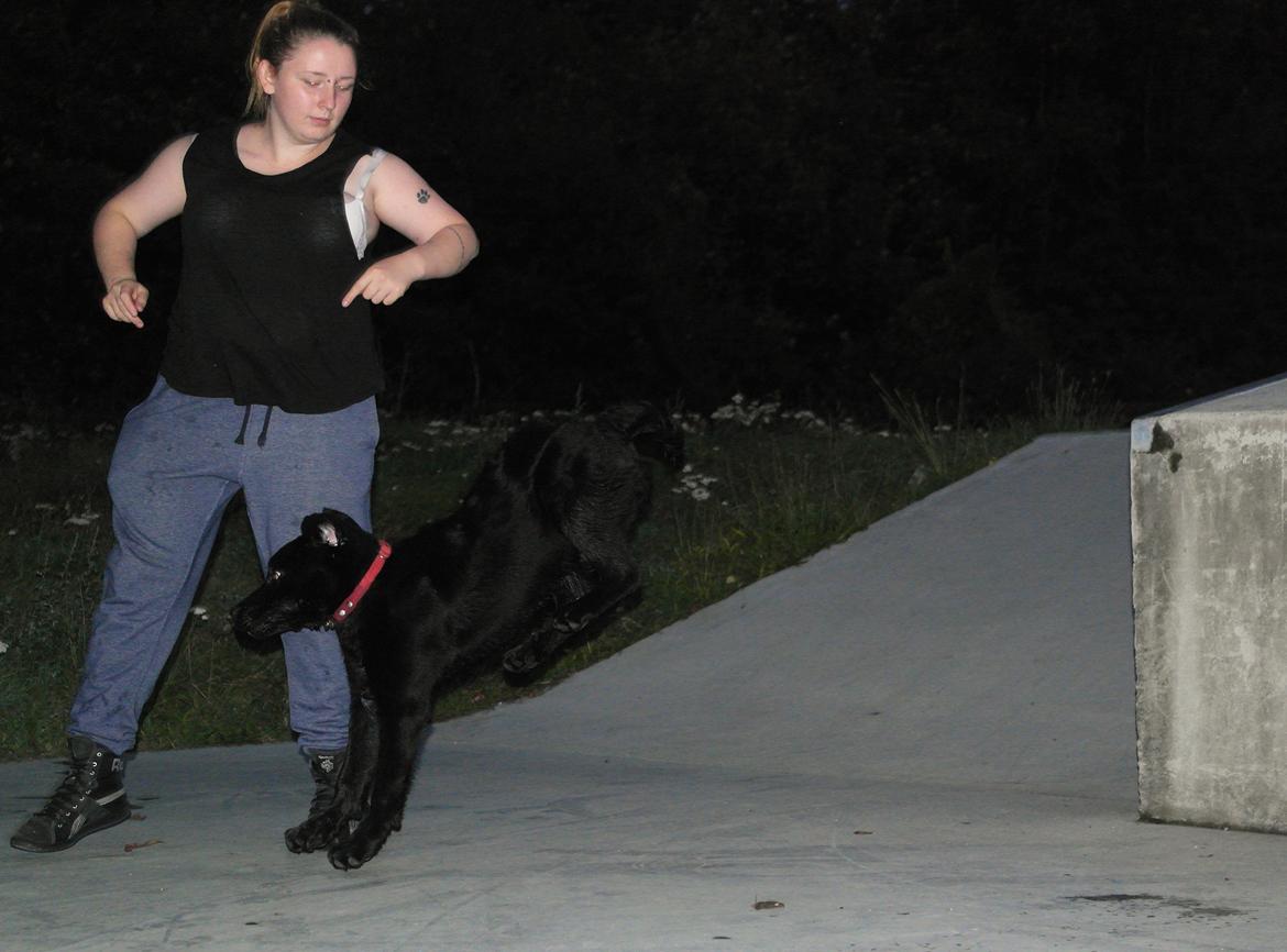 Blanding af racer Jack billede 16