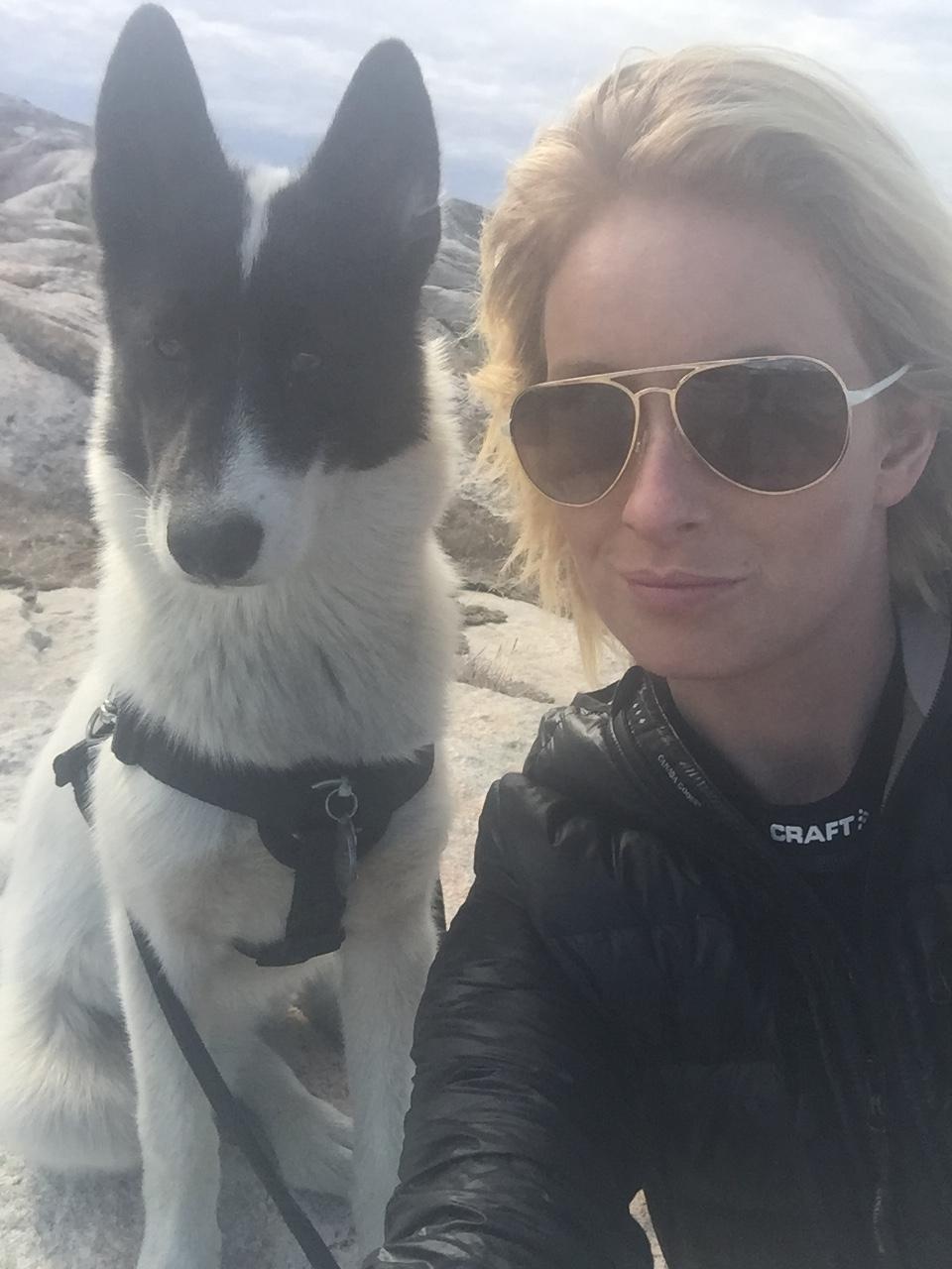 Grønlandshund Nanu ( isbjørn ) billede 12