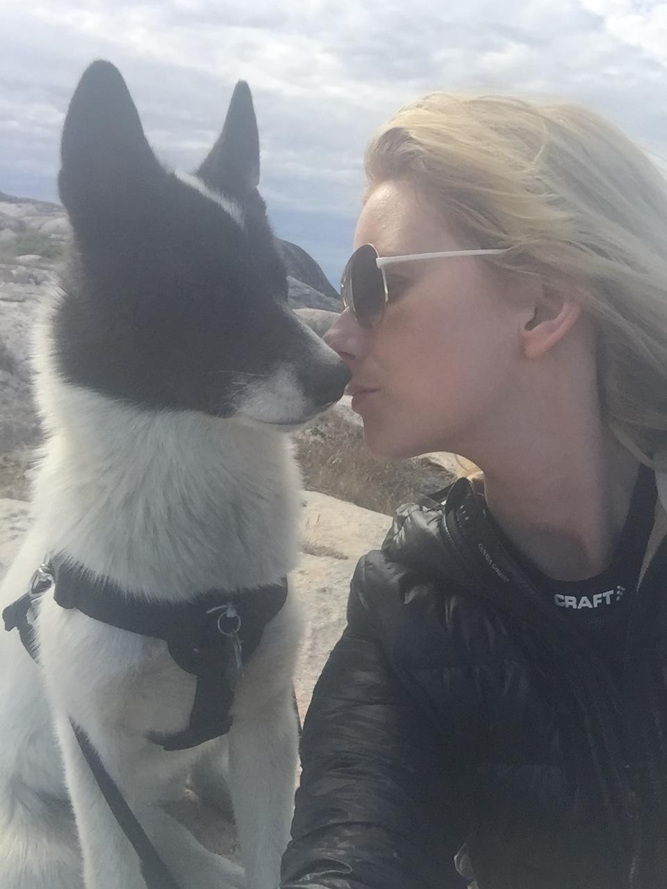 Grønlandshund Nanu ( isbjørn ) billede 13