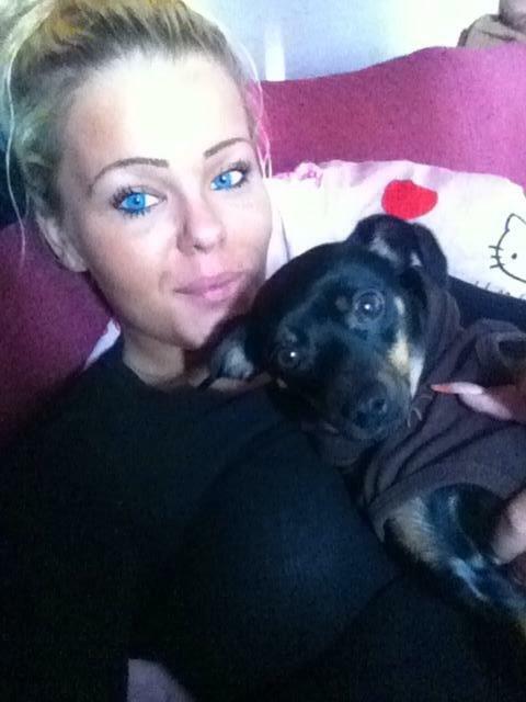 Prazsky krysarik Diva billede 7