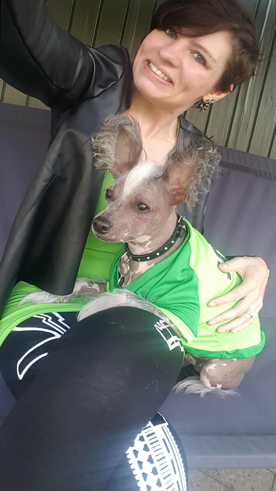 Chinese crested hårløs Spooky billede 21