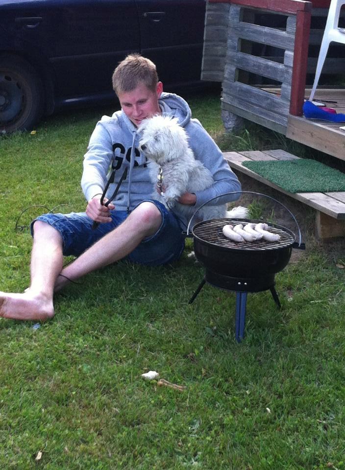 Malteser Jessie billede 21