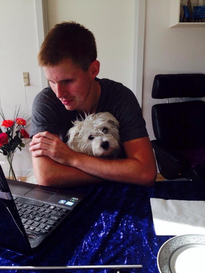 Malteser Jessie billede 24