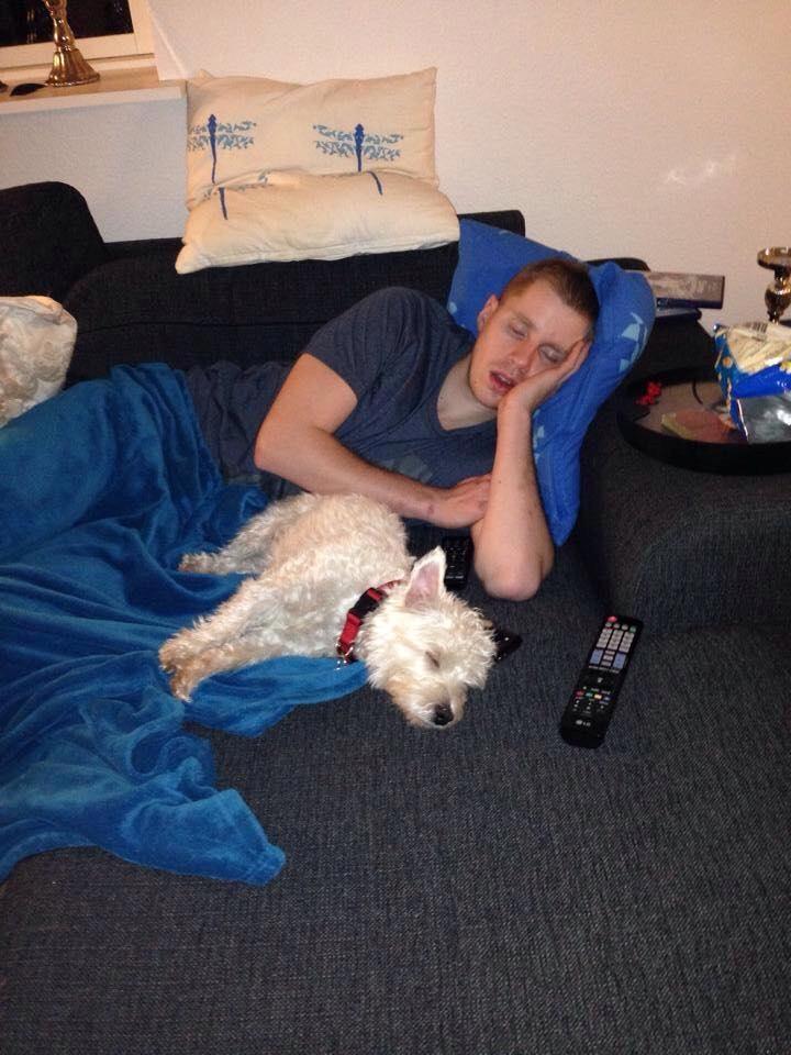 Malteser Jessie billede 23