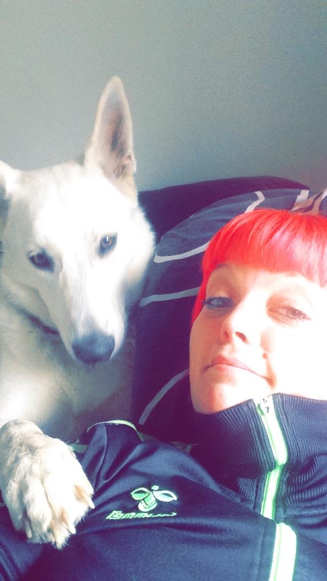 Hvid schæfer Kjaersgaards Emmit - Hygge trold med sin moar billede 5