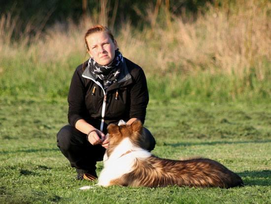Collie langhåret Gaia - Trickstræning billede 10