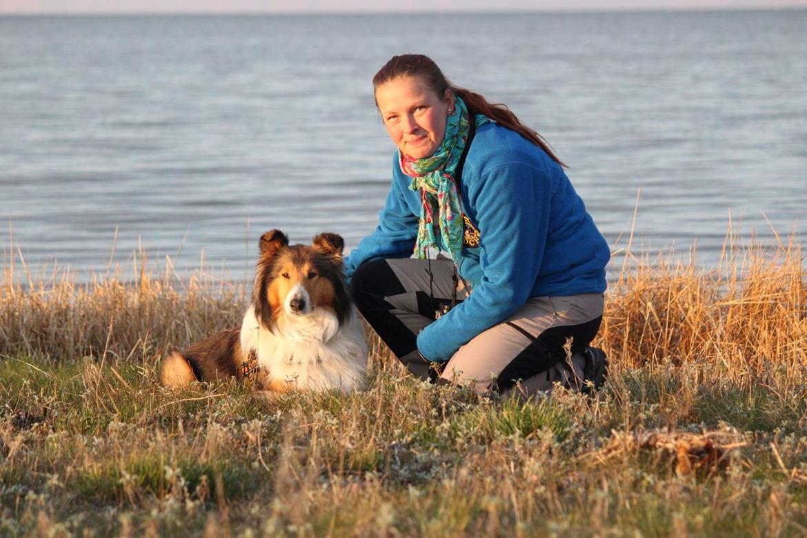 Collie langhåret Gaia - Tur 2015 billede 7