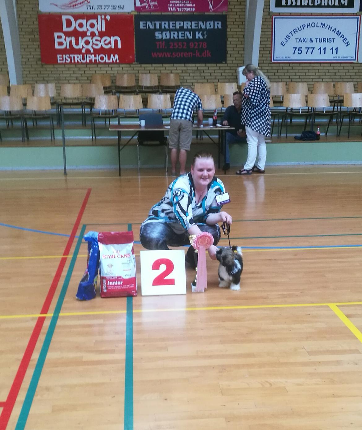 Shih tzu Perle "fra Mønsted's hunde" billede 6