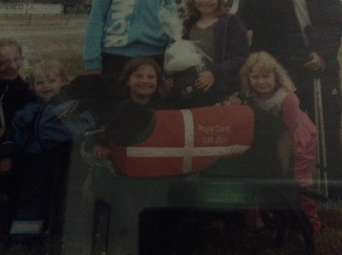 Greyhound Pesoto billede 7