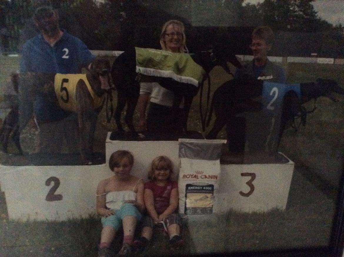 Greyhound Pesoto billede 8