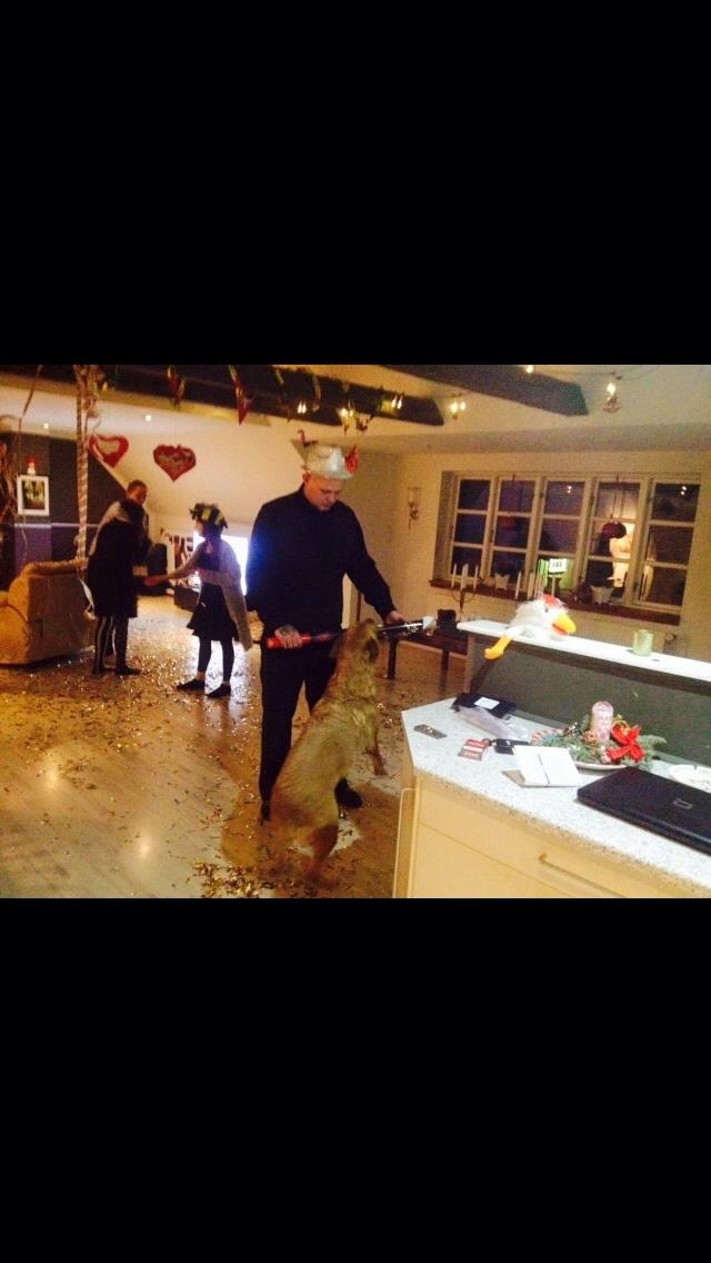 Blanding af racer Money *højt elsket himmelhund* billede 20