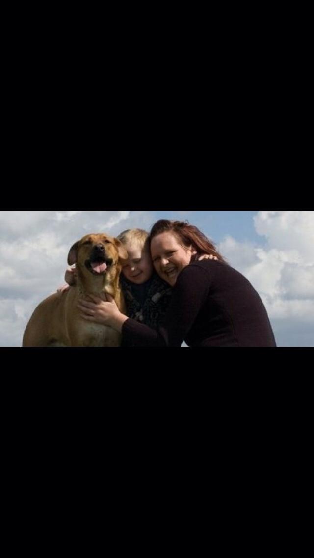 Blanding af racer Money *højt elsket himmelhund* billede 27