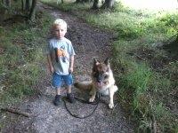 Schæferhund Buffy billede 17