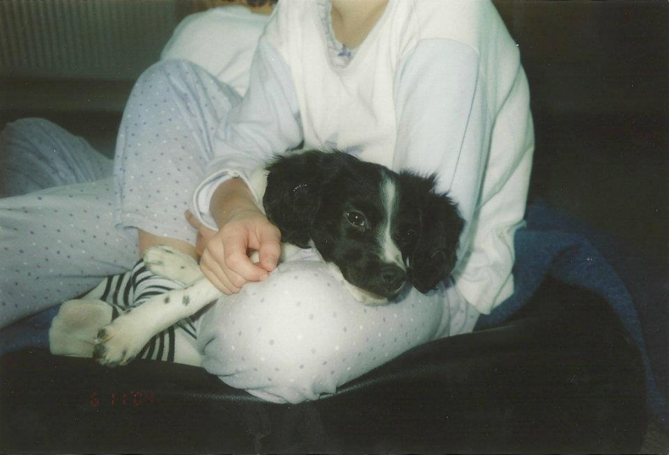 Breton Viktor billede 10