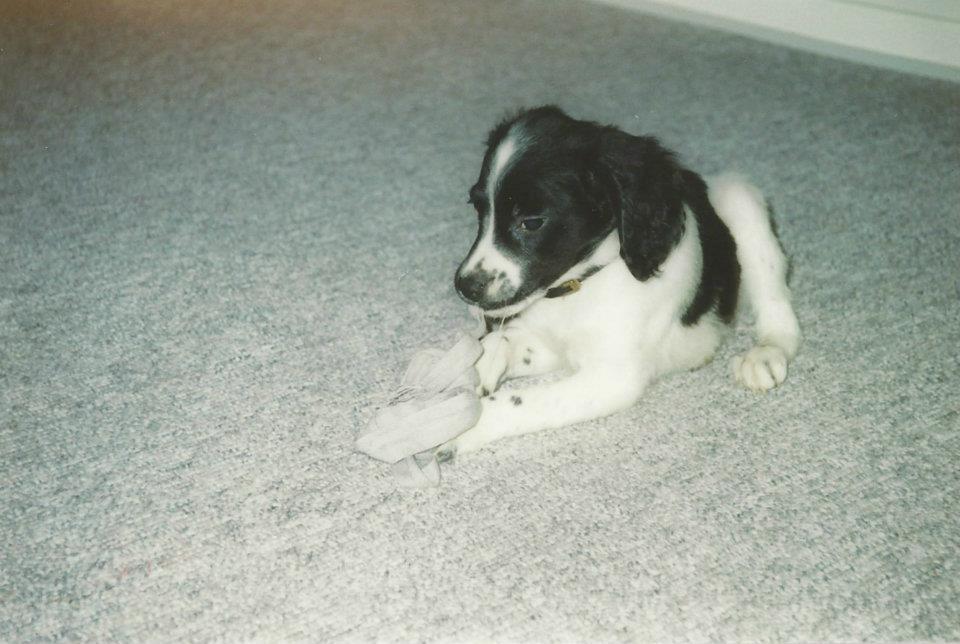 Breton Viktor billede 11