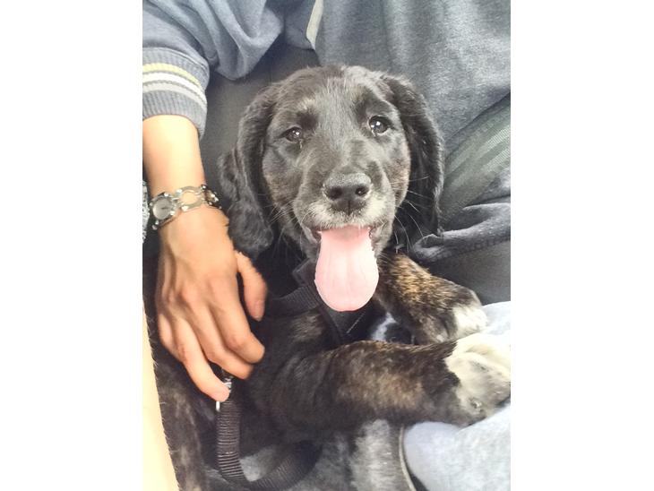 {{currentPhoto.altText}} billede {{currentPhoto.number}}