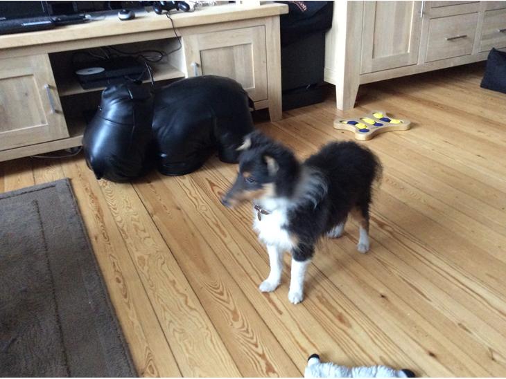 {{currentPhoto.altText}} billede {{currentPhoto.number}}