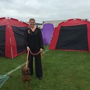 Bayersk bjergsschweisshund Shiva