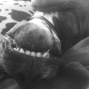 Blanding af racer Thor