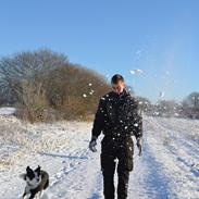 Border collie Hollie