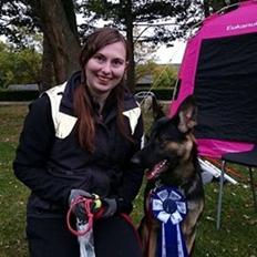 Schæferhund Amager's Nicki