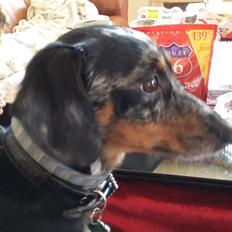 Blanding af racer Cimba