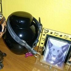 Blanding af racer Miss Misja