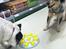 Australsk cattledog Turbo