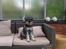 Dvaergschnauzer *RICKEY*