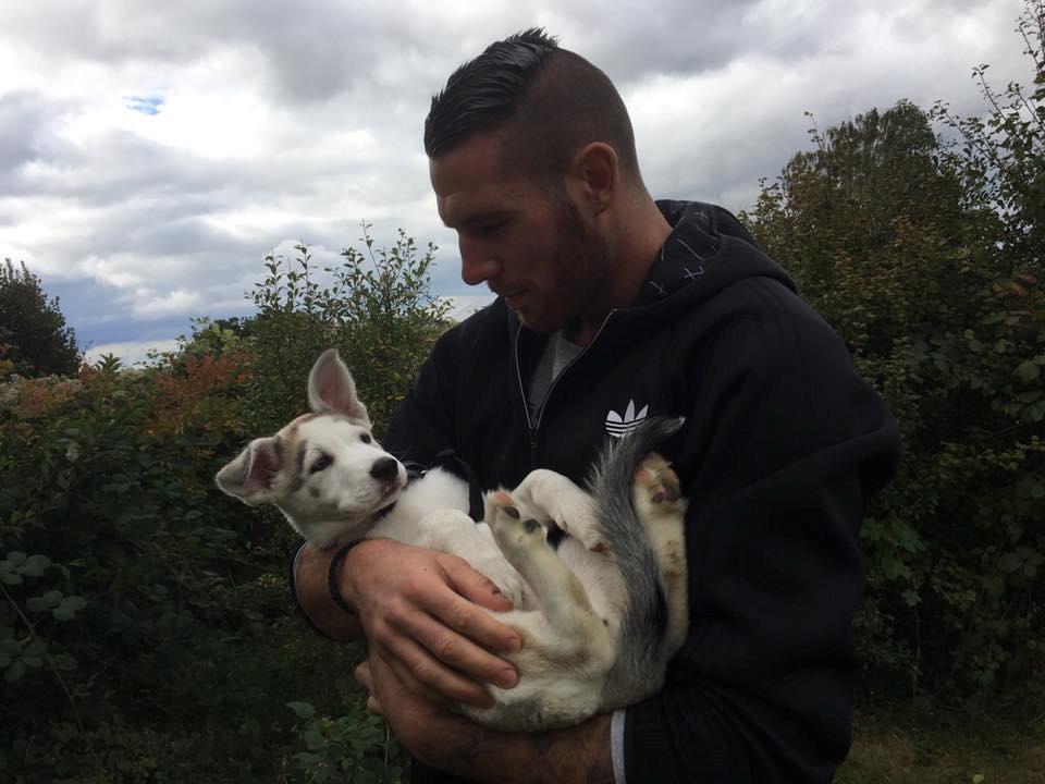 Blanding af racer Aura billede 16