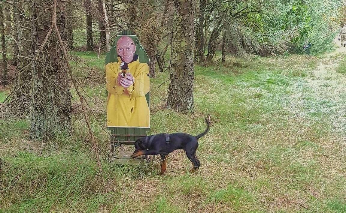 Rottweiler Herman  billede 19