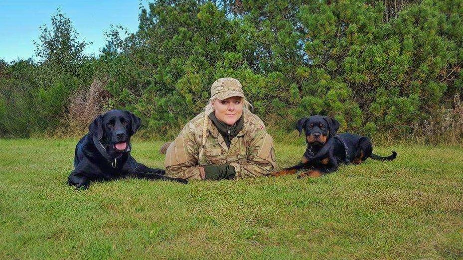 Rottweiler Herman  billede 20