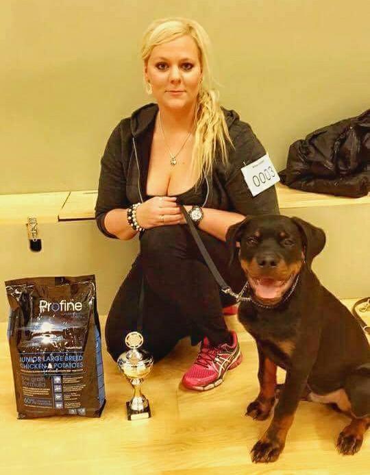 Rottweiler Herman  billede 22