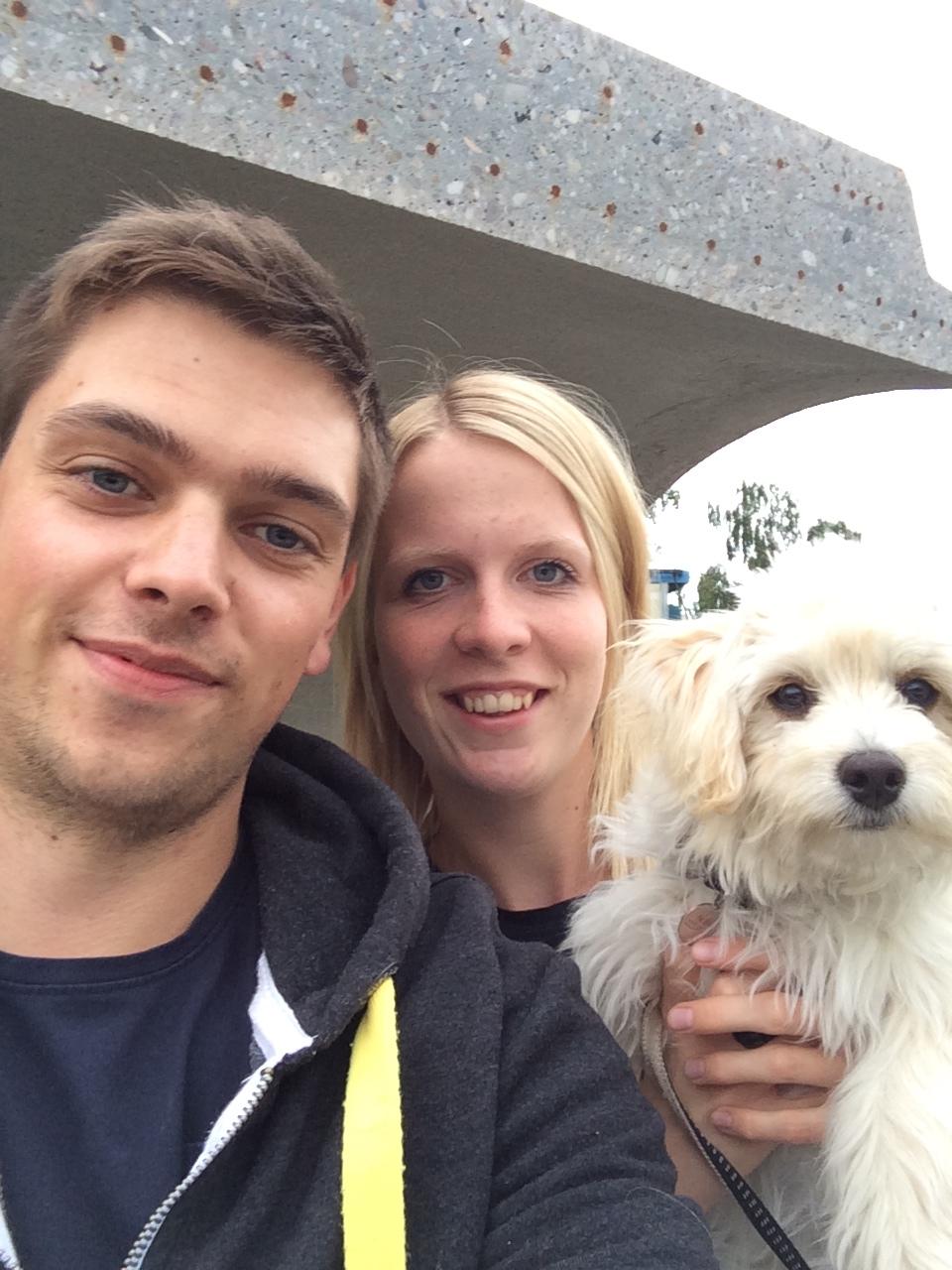 Blanding af racer Alba billede 4