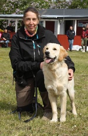 Golden retriever Max - Hundetræning billede 9