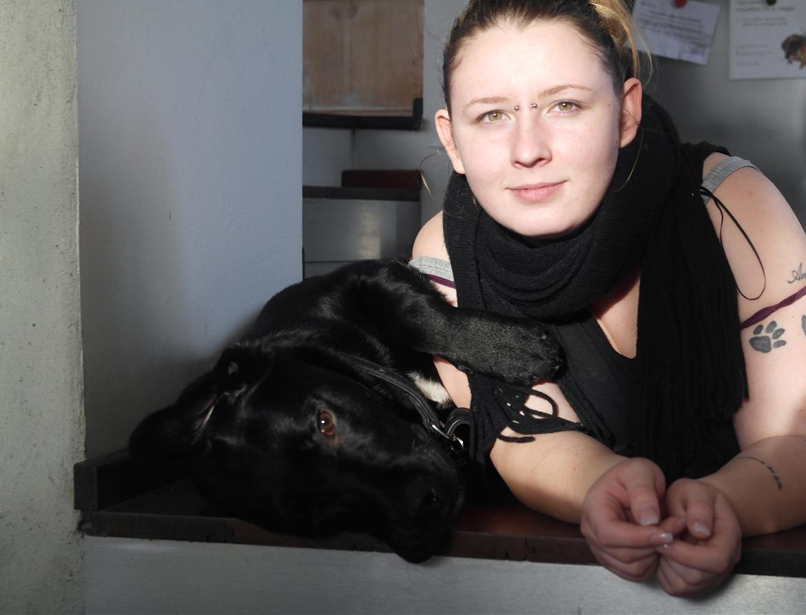 Blanding af racer Jack billede 27