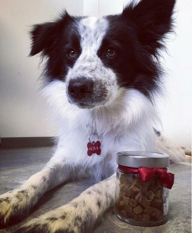 Blanding af racer Nova billede 9