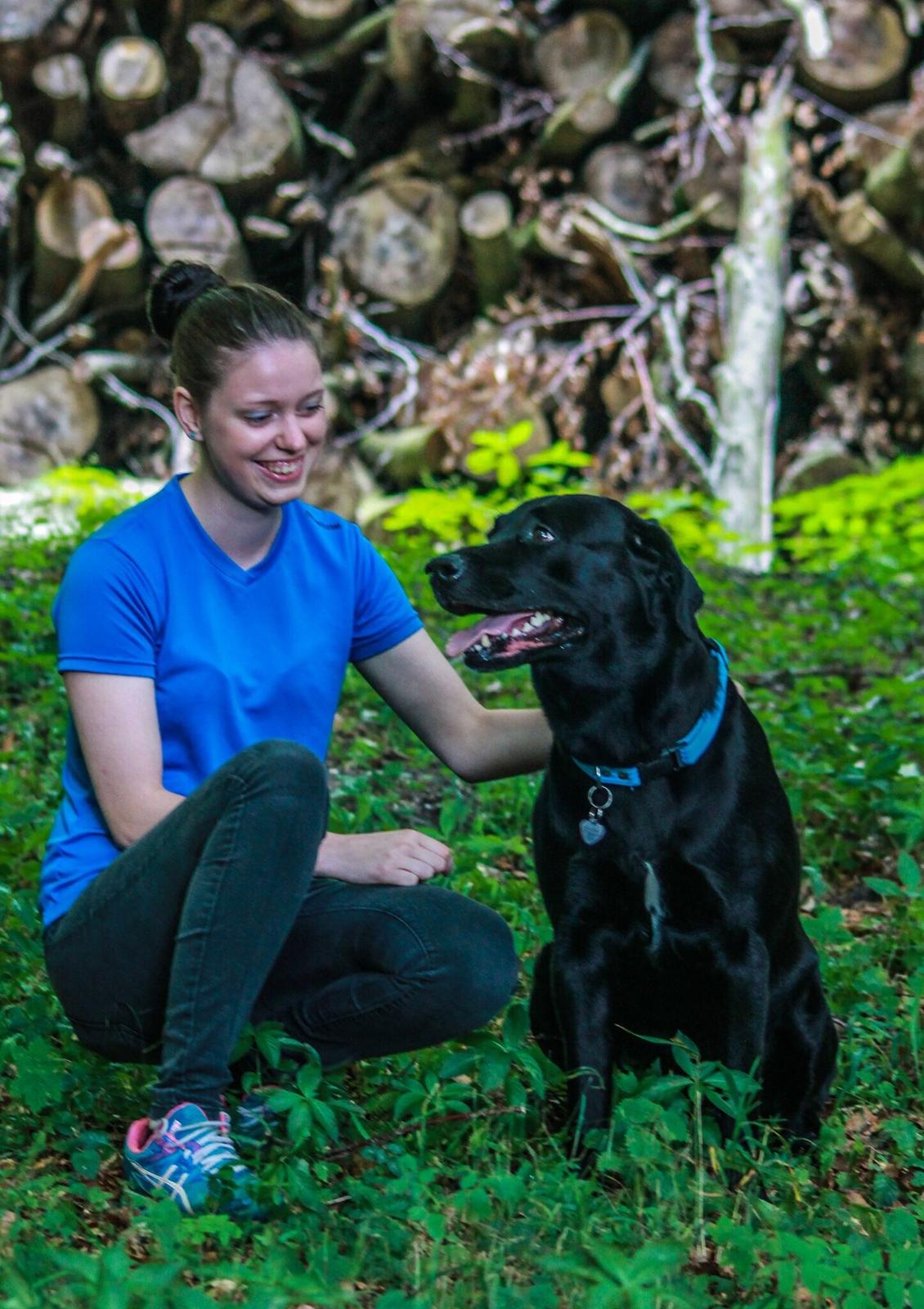 Labrador retriever Balou  billede 10