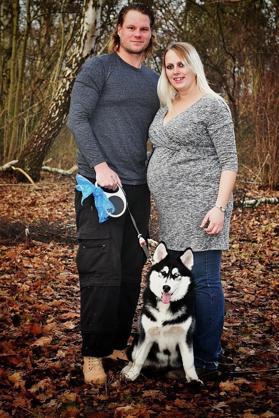 Siberian husky Laika  billede 28