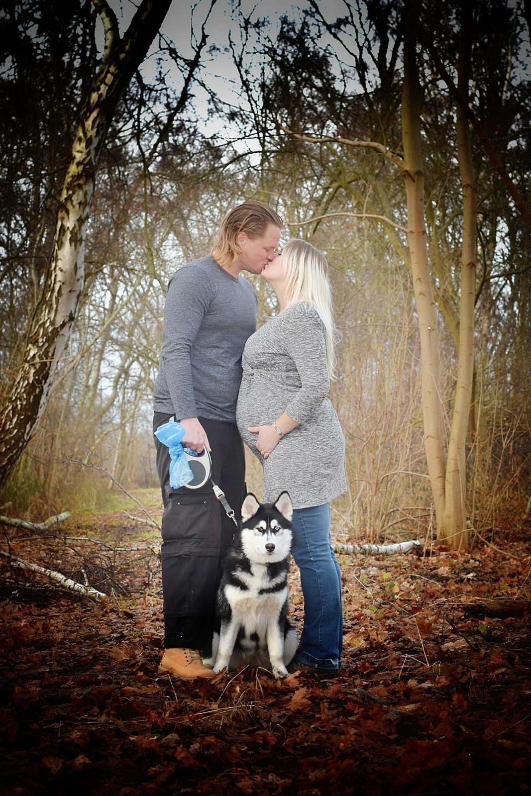 Siberian husky Laika  billede 32