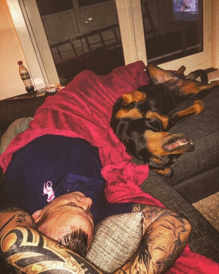 Rottweiler Malli billede 8