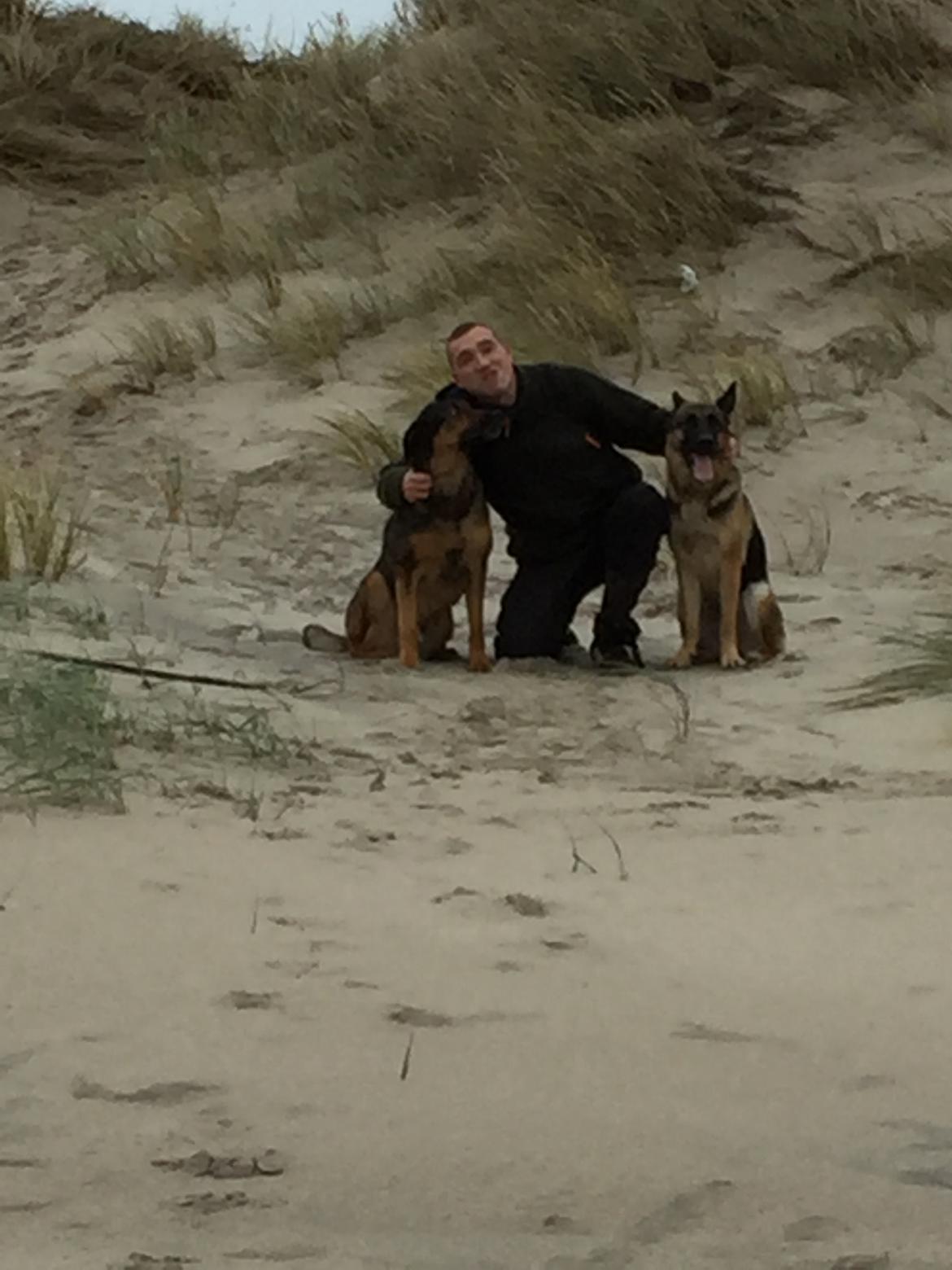 Blanding af racer Zar (Zarzi)<3 billede 32