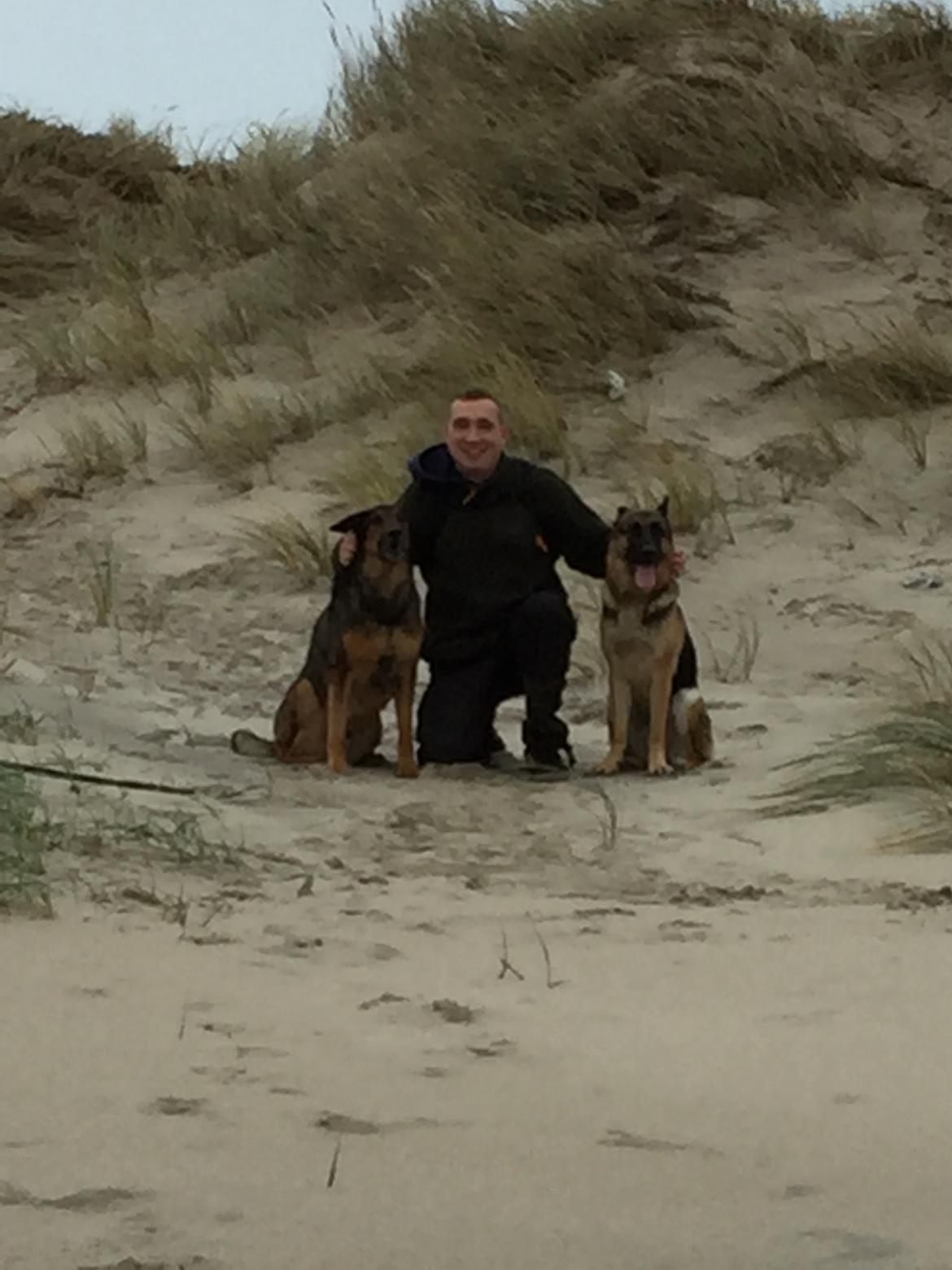 Schæferhund Nala billede 18