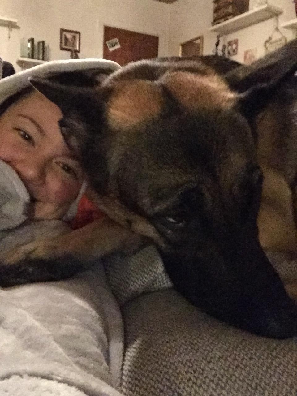 Schæferhund Nala billede 22