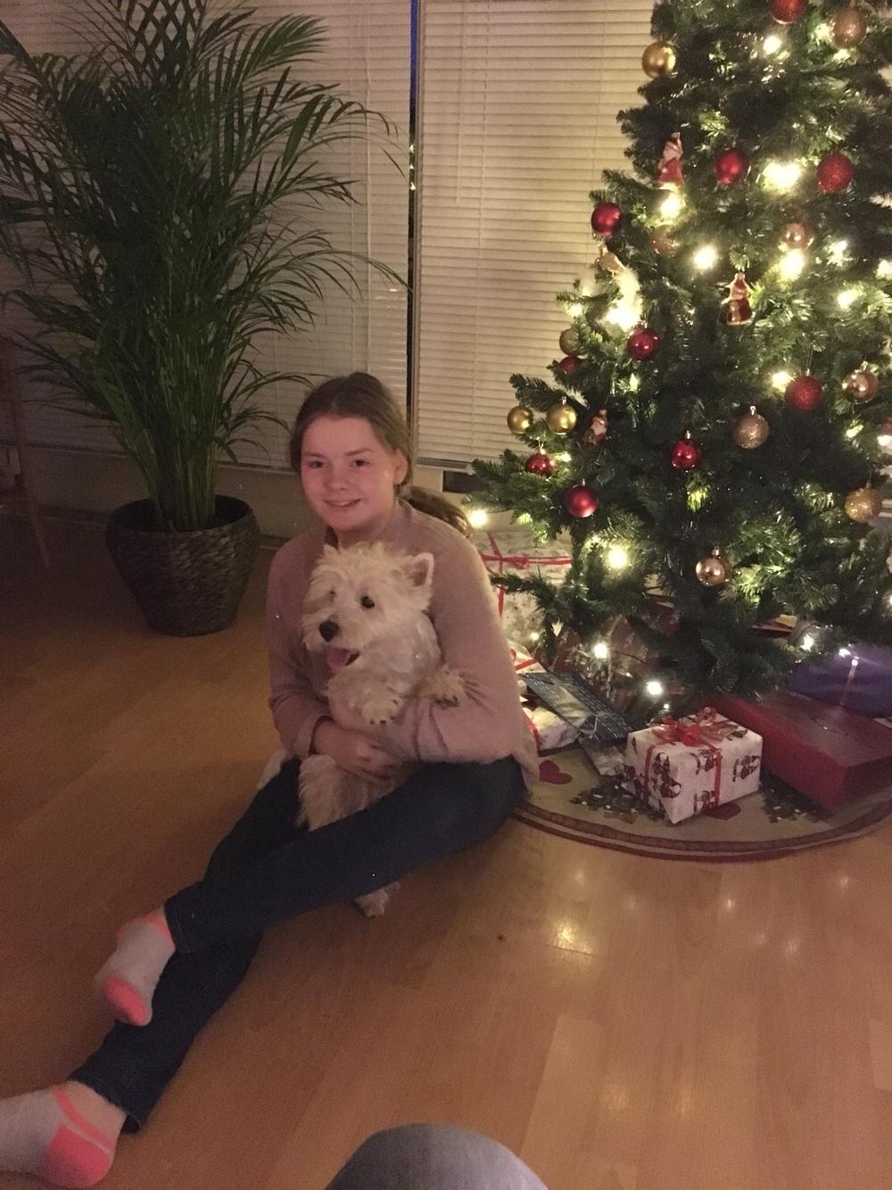 West highland white terrier la gry,s liv billede 18