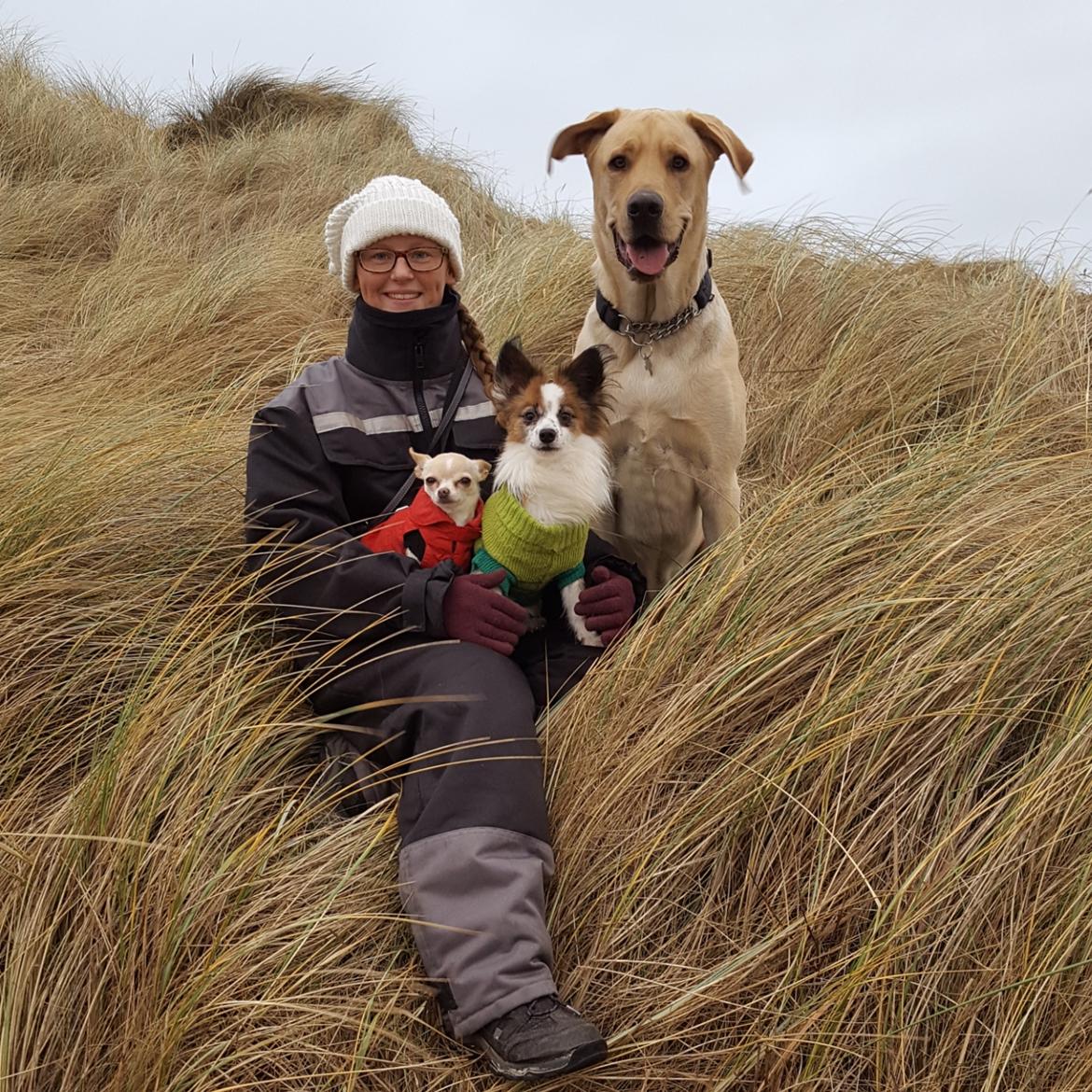 Blanding af racer Elvis *R.I.P* - Rødhus Strand 31/12-16 billede 12